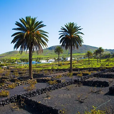 El Palmeral De Aganada * Haria
